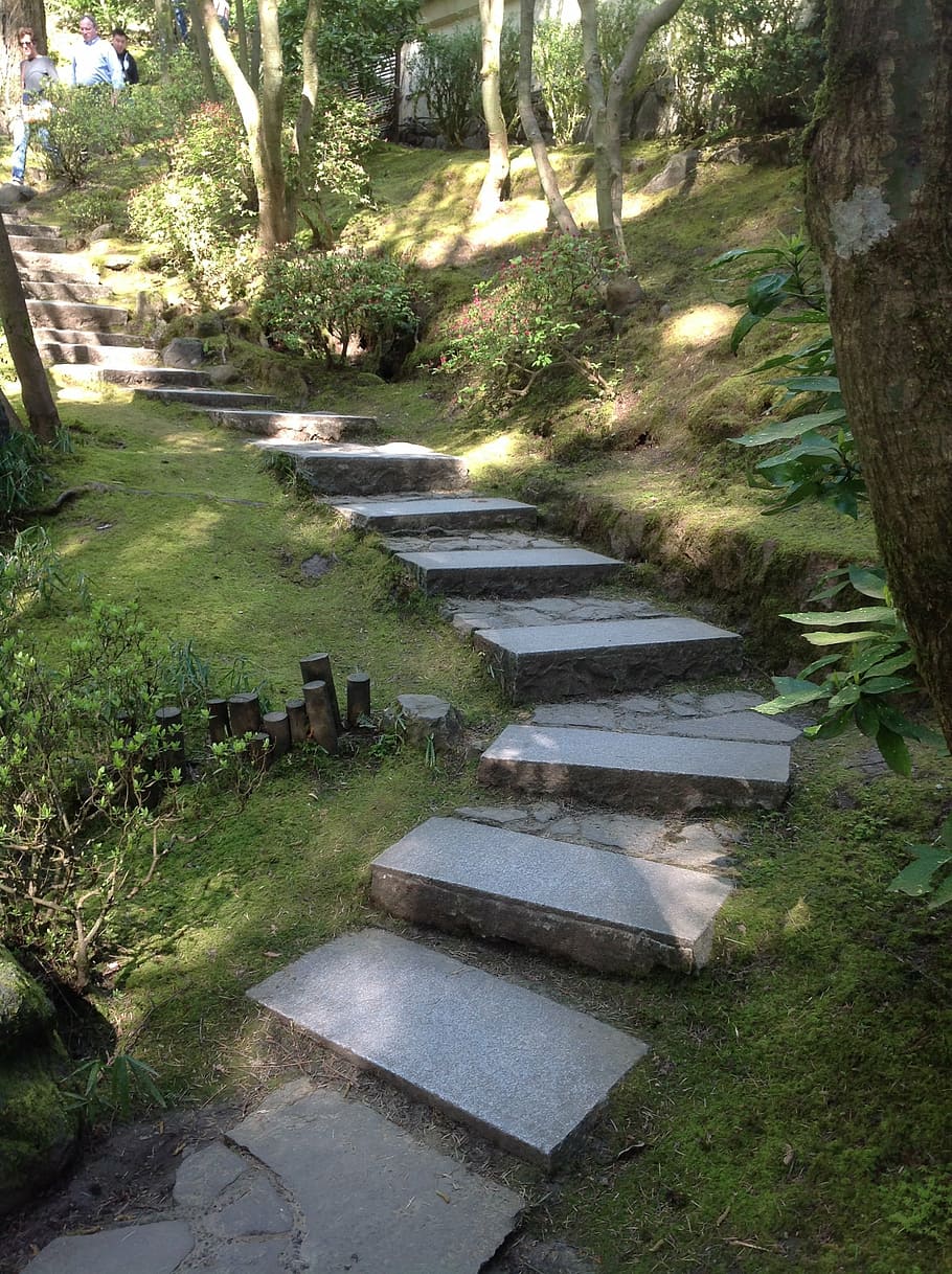 portland japanese garden, stairs, stone, path, botanical, oregon, plant, grass, stepping stone, nature