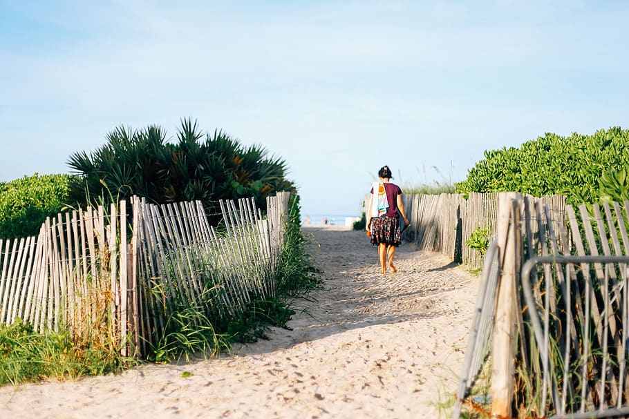footpath, path, pathway, sand, beach, person, walking, nature, sandy, summer