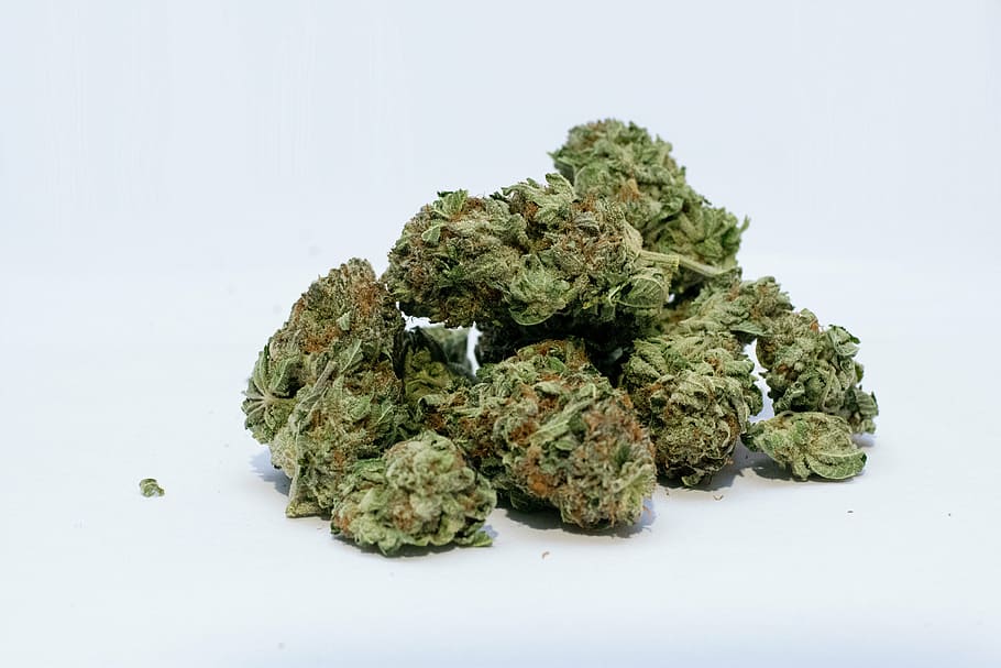 green kush, marijuana, cannabis, weed, bud, green, pot, medical, nature, drug