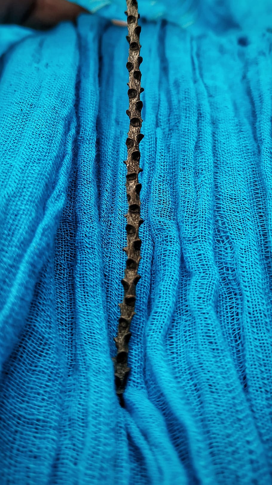 fabric, blue, cotton, aqua, plant, brown, wand, textile, full frame, backgrounds