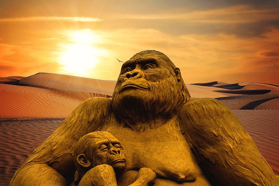 monkey, desert, sunset, africa, sand sculpture, baby monkey, gorilla, stature, sunshine, bright