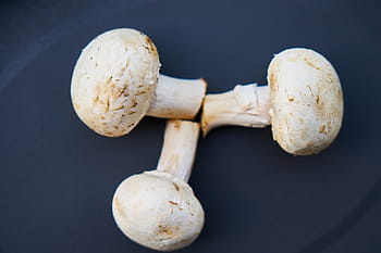 mushroom-vegetable-vegan-vegetarian-royalty-free-thumbnail.jpg