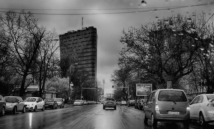 hitam dan putih, kota, mobil, jalan, pohon, hujan, romania, bucharest, arsitektur, moda transportasi