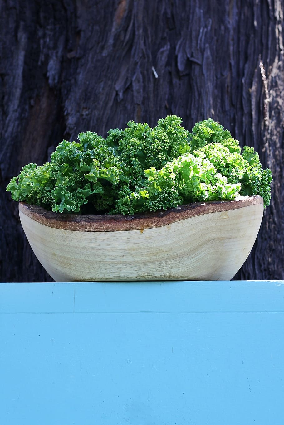green leafed plant, kale, vegetable, bowl, green, nature, healthy, colorful, vegan, salad