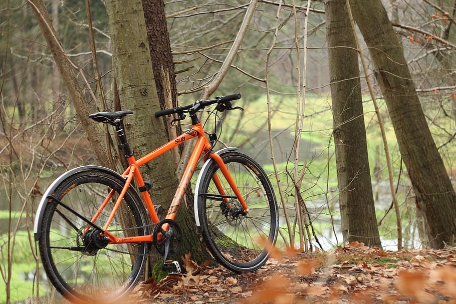 bike-autumn-river-forest.jpg