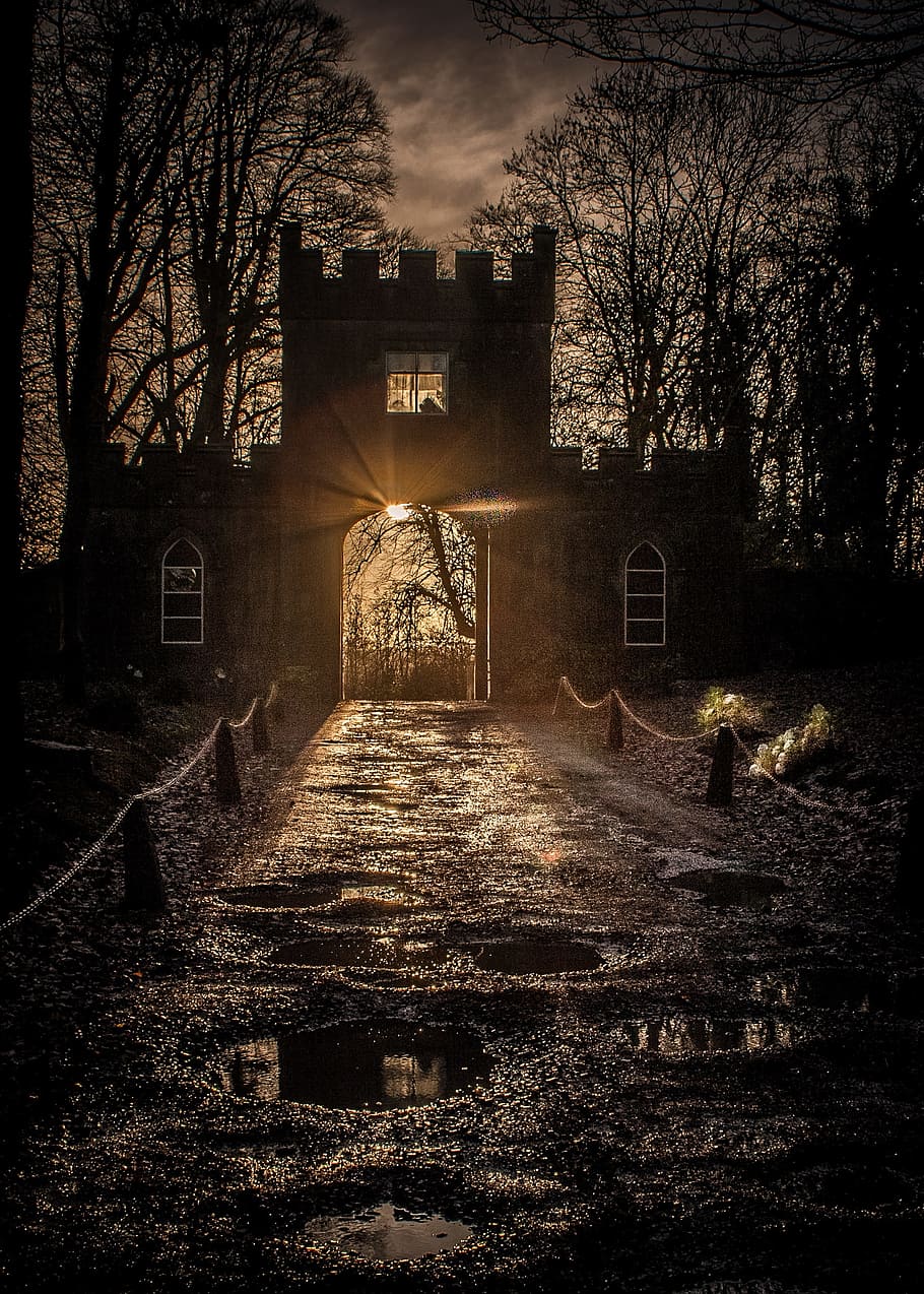 Castle, Irish, famous, horror, spooky, mystery, dark, absence, house, architecture