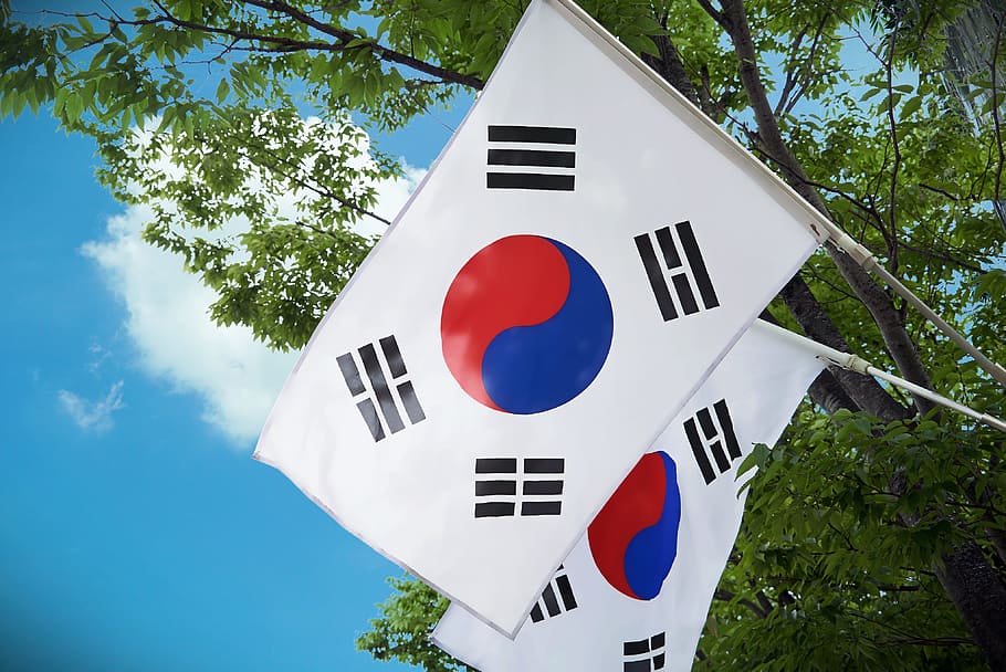 two, korea flags, blue, clouds, julia roberts, south korea flag, korea to, low angle view, tree, plant