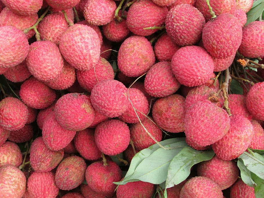 red, lychee fruit lot, litchi, fruits, fruit, food, freshness, ripe, organic, nature