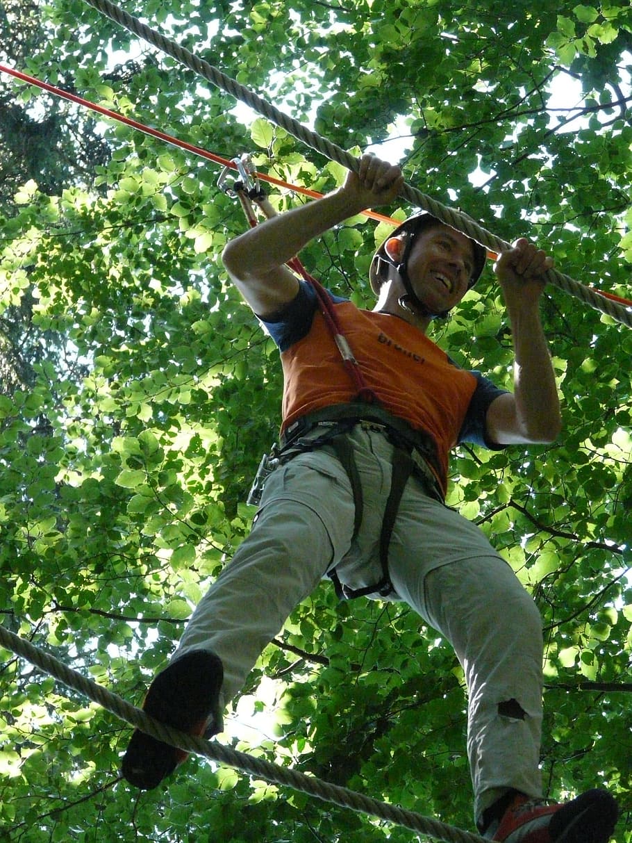 forest ropes, high, ropes course, High Ropes Course, detention, help rope, fun, good mood, climb, steadfastness