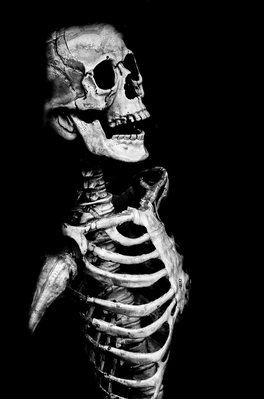 grayscale photo, human, skeleton, gray scale, human skeleton, skull, halloween, people, mask, dummy
