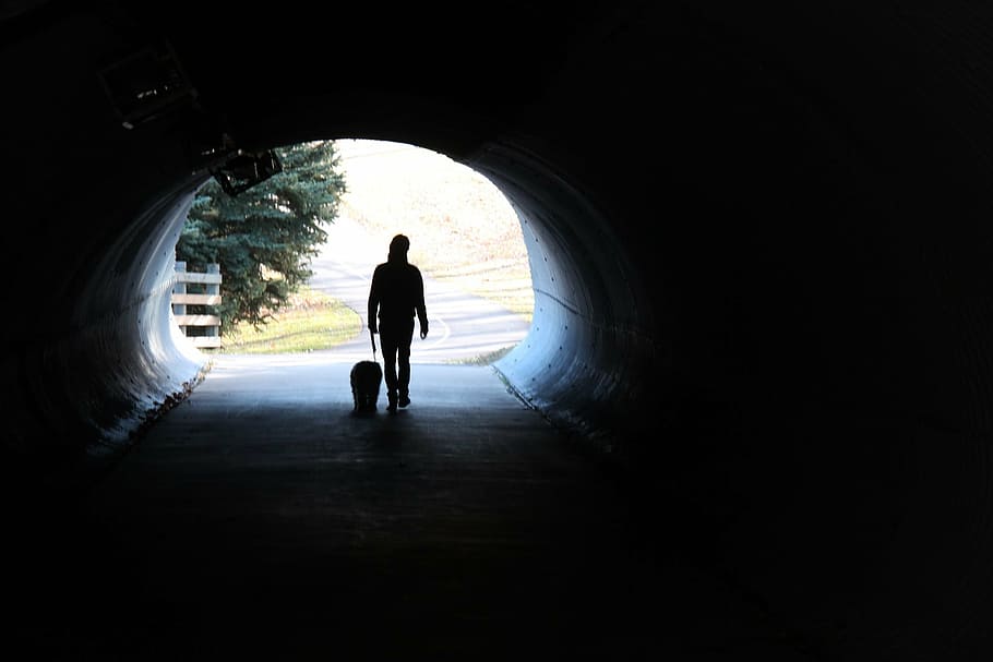 silhouette, person, walking, inside, tunnel, daytime, solitary, dog, alone, outdoors