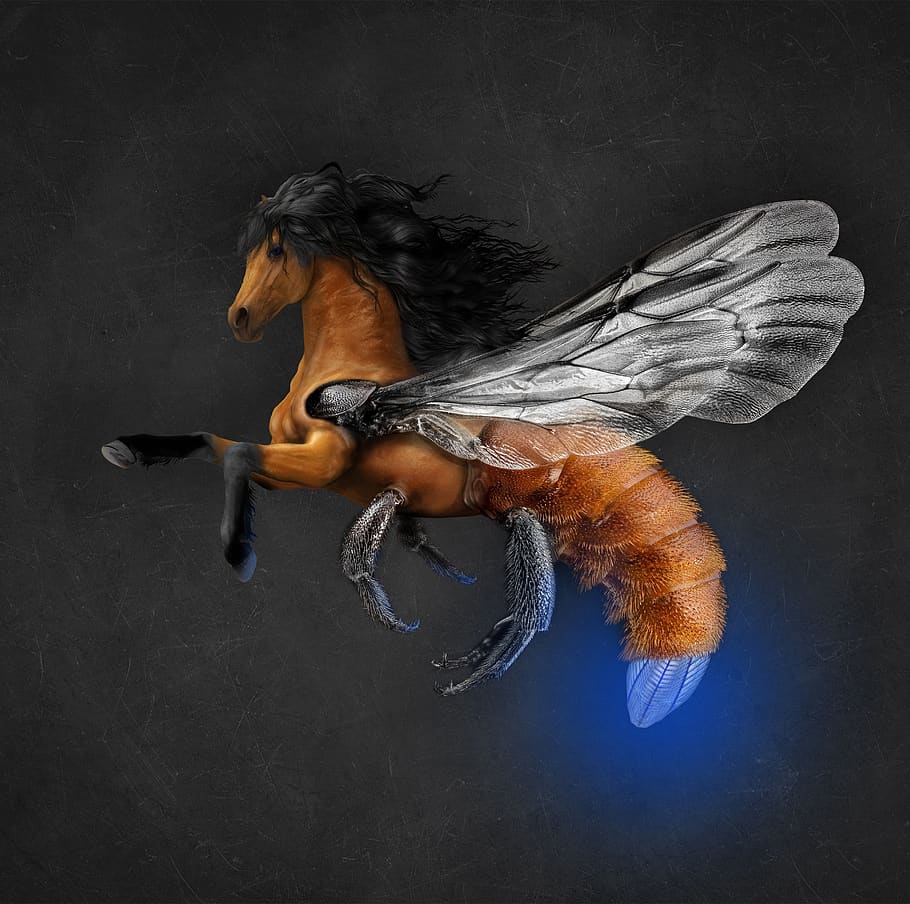 kuda, fiksi ilmiah, manipulasi foto, photoshop, terbang, kunang-kunang, cahaya biru, dalam ruangan, studio shot, hairstyle