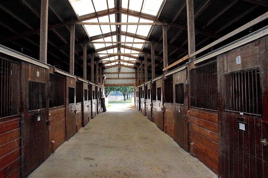 closed, doors, inside, horse, stable, rural, farm, ranch, equine, equestrian