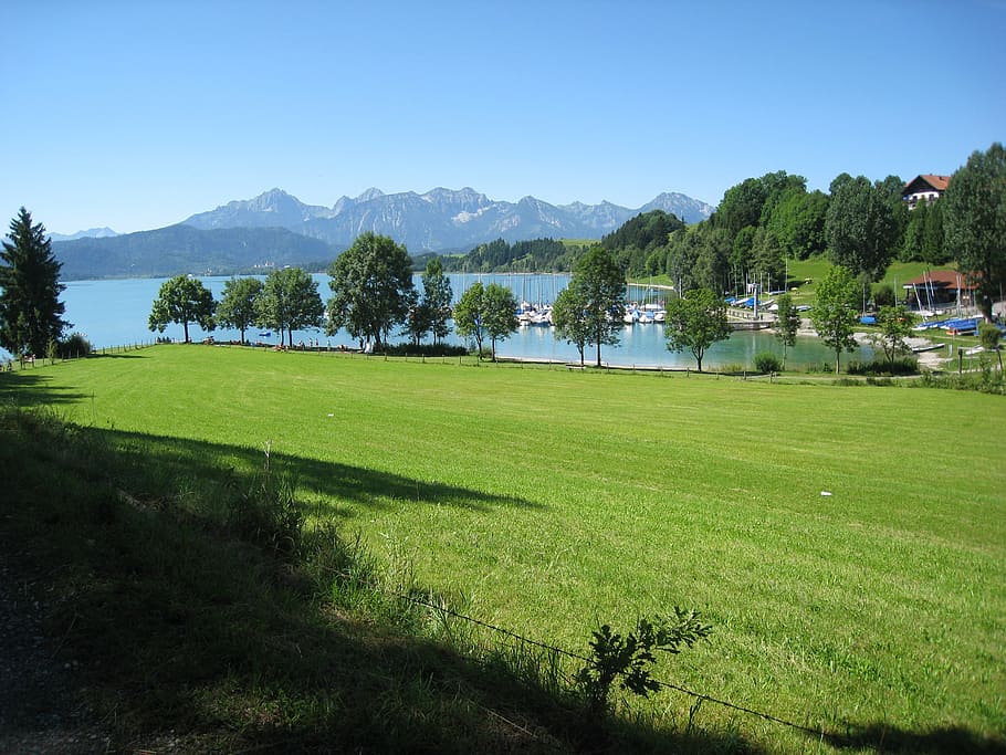 allgäu, easter pure, bay, water, meadow, sky, blue, panorama, mountain, nature
