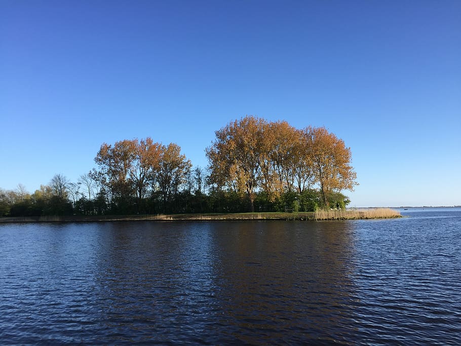 ijsselmeer, tree, waters, nature, lake, sky, summer, water, tranquility, scenics - nature