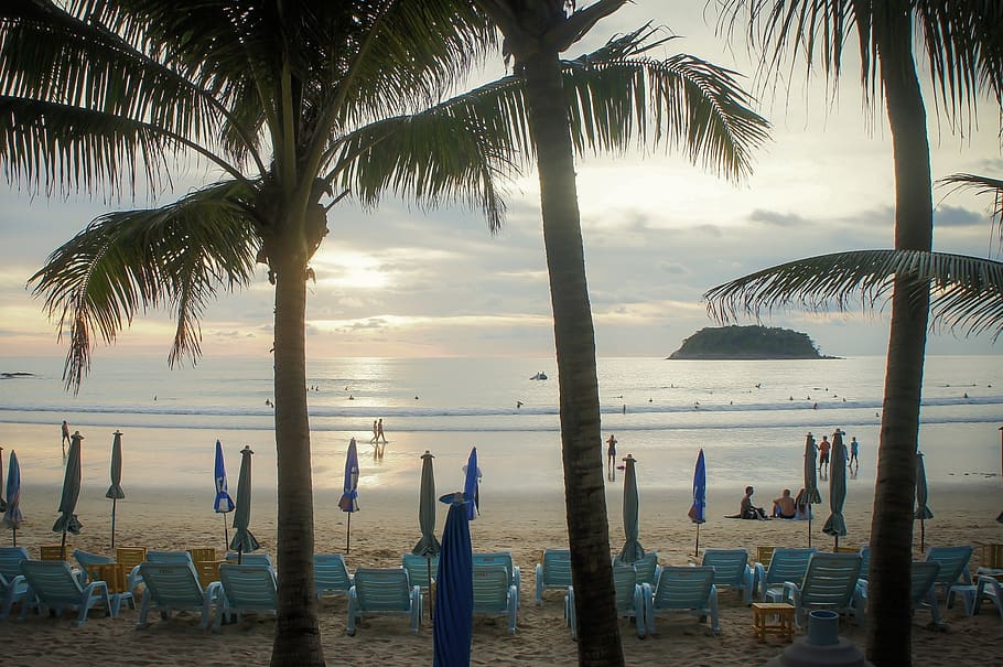 Playa tropical, palmeras, océano, costa, gente, sombrillas, tumbonas, resort, kata-noi, phuket