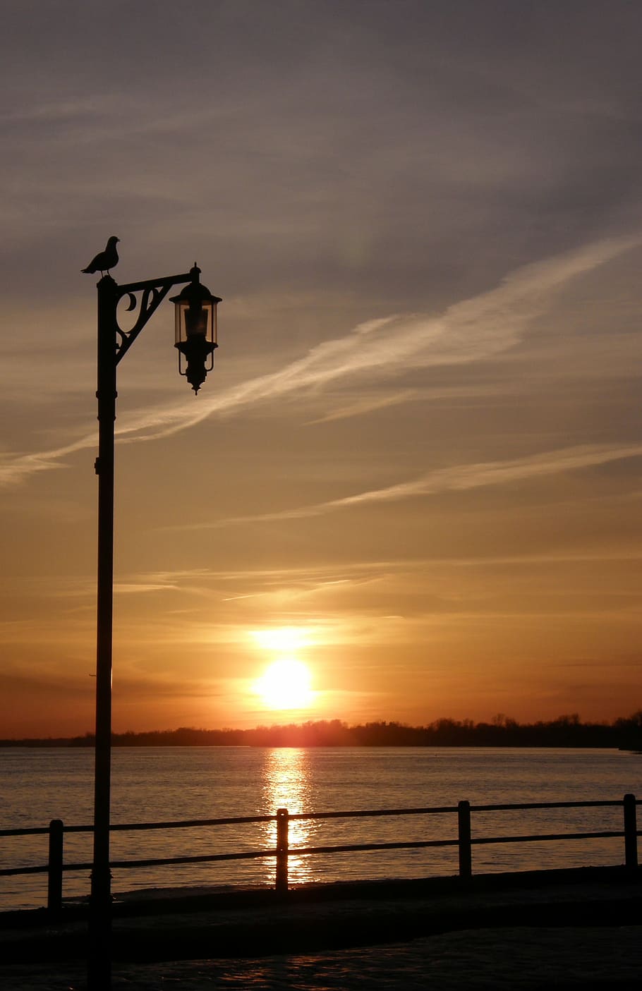 bird, perched, top, lamppost, water, sunset, goodnight, sun, wildlife, sky