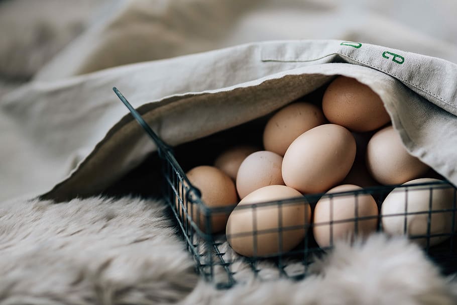 cesta de malha de arame, fresco, ovos da fazenda, malha de arame, cesta, fazenda, ovos, café da manhã, comida, saudável