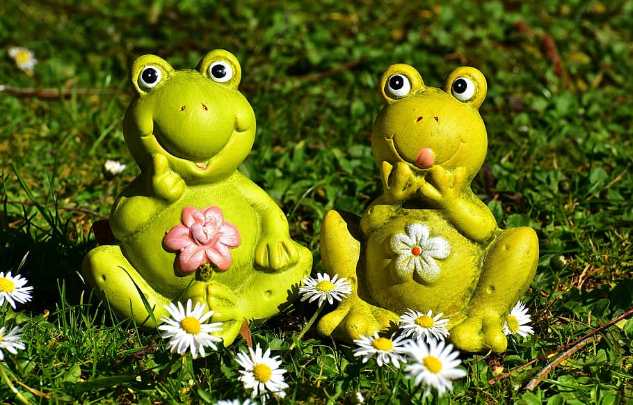dos, verde, figurillas de rana, al lado, blanco, flores de pétalos, ranas, figuras, gracioso, prado