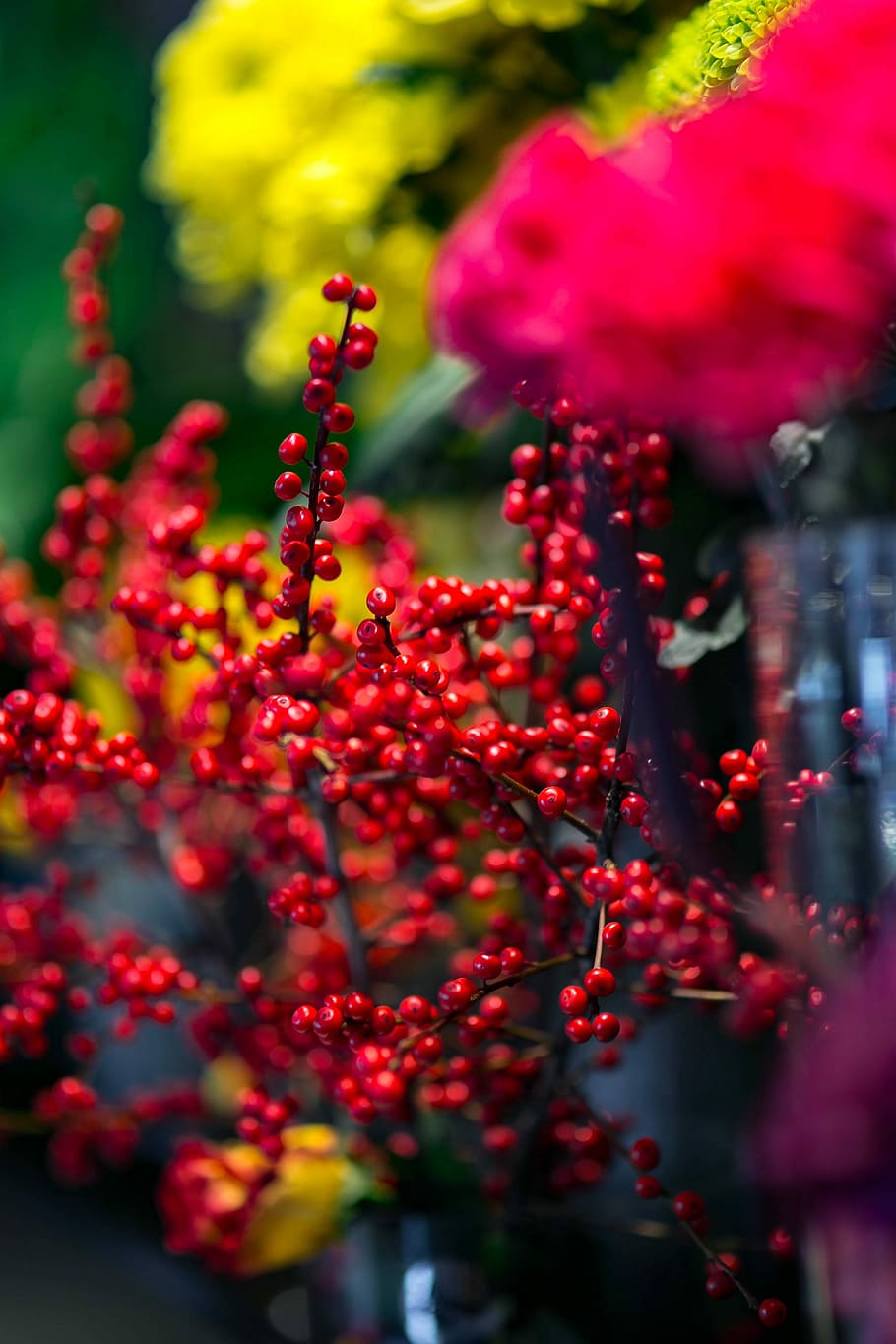 赤, ナナカマド, カラフルなアレンジメント, 花, カラフル, アレンジメント, 植物, 黄色, 花束, かなり