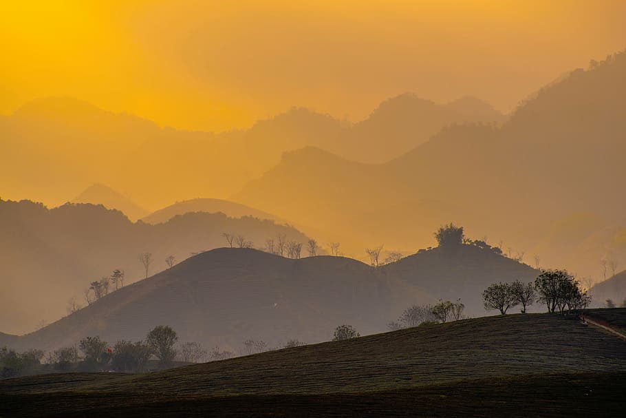 silhouette, mountain, trees, sunset, nature, landscape, mountains, gradient, brown, yellow