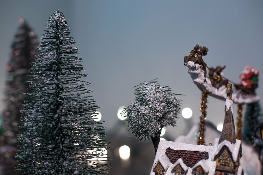 superficial, fotografía de enfoque, casa de pueblo de nieve, enfoque, fotografía, pino, árbol, miniatura, decoración, navidad