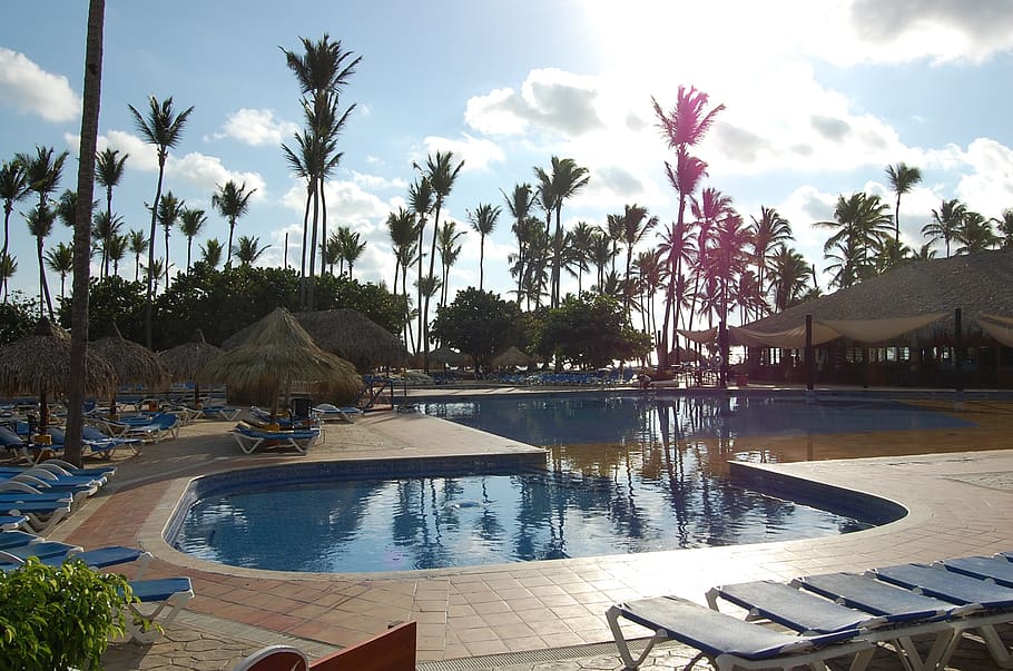 punta cana, caribbean, palms, hotel, nature, beach, pool, dominican republic, water, plant