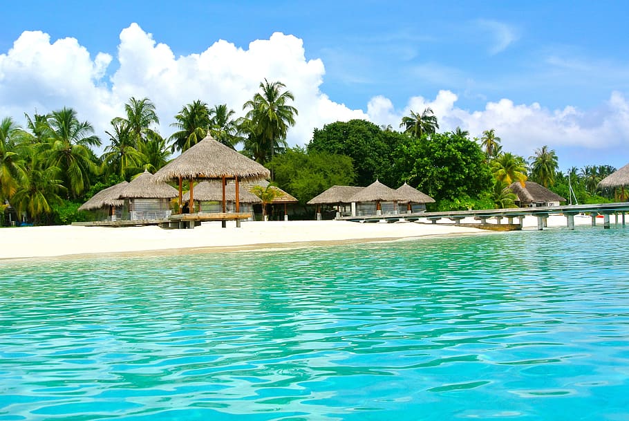 brown, palm tree hut, blue, sky, daytime, palm tree, tree hut, blue sky, maldives, coconut tree