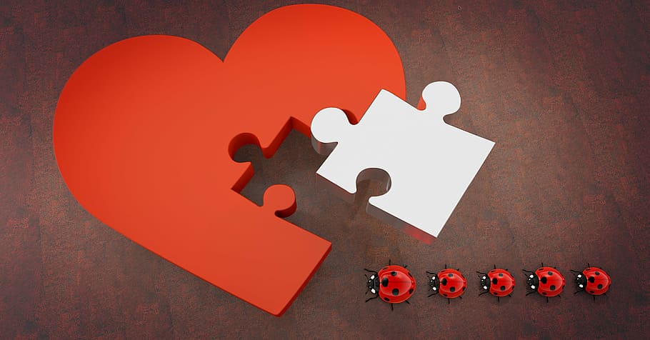 heart-shaped, red, white, jigsaw cutout, ladybugg, lucky ladybug, heart, puzzle, joining together, puzzle piece