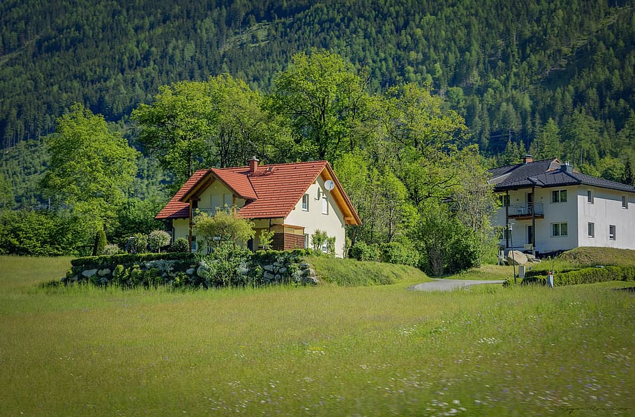 austria, fields, trees, nature, cabin, casita, blue green, house, pasture shelter, dawn