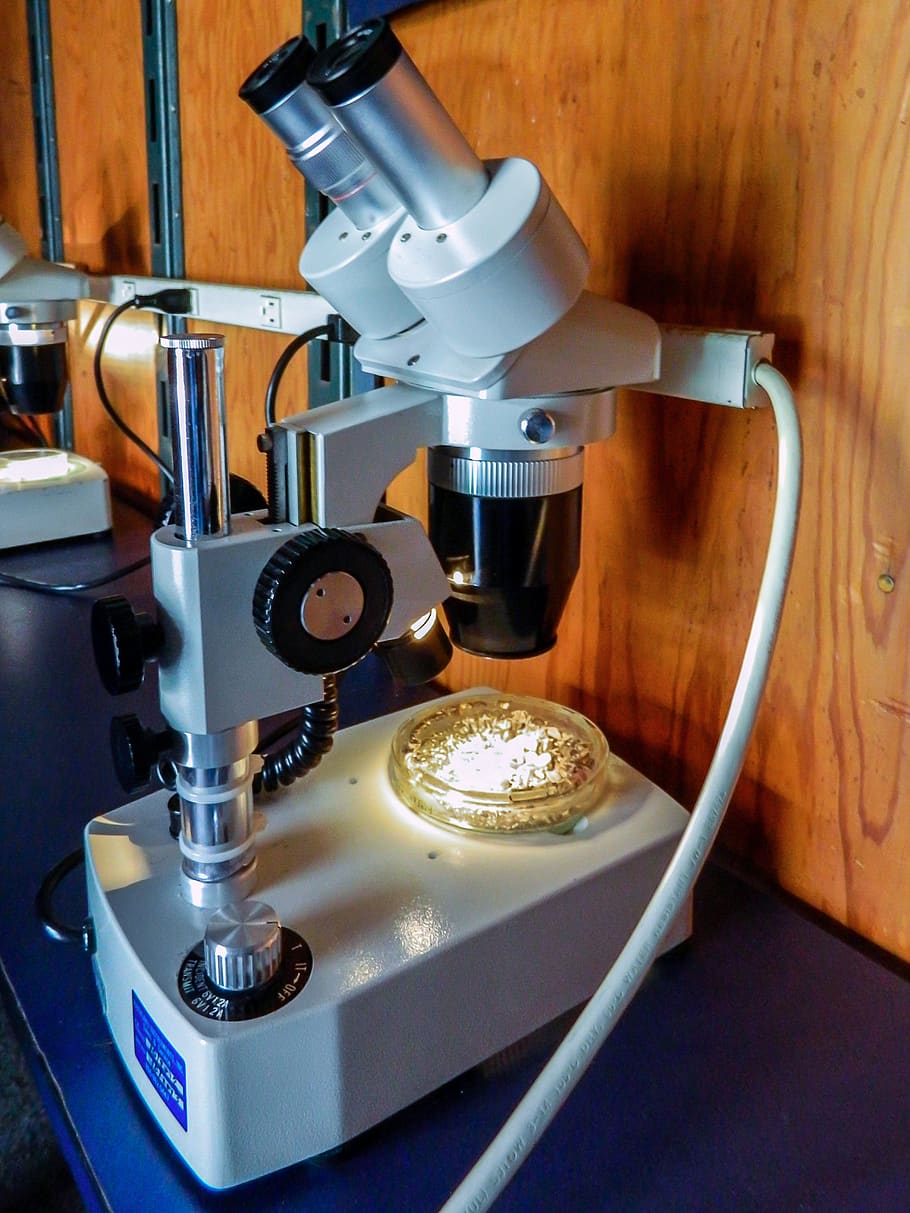 microscopio, laboratorio, ciencia, investigación, científico, tecnología, análisis, equipo, microbiología, educación