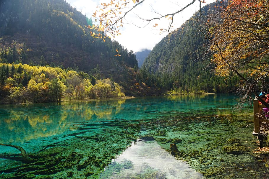 jiuzhaigou, autumn, colored sea, water, tree, beauty in nature, plant, scenics - nature, tranquility, tranquil scene