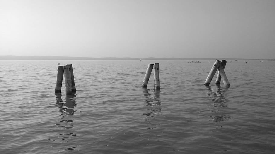 the stakes in the water, the stakes in the lake, water-level, neusiedler see, burgenland, water, sea, sky, horizon, horizon over water
