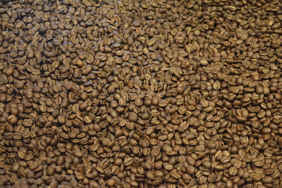 coffee bean lot, coffee, beans, espresso, roasted, roaster, roast, caffeine, cafe, aroma