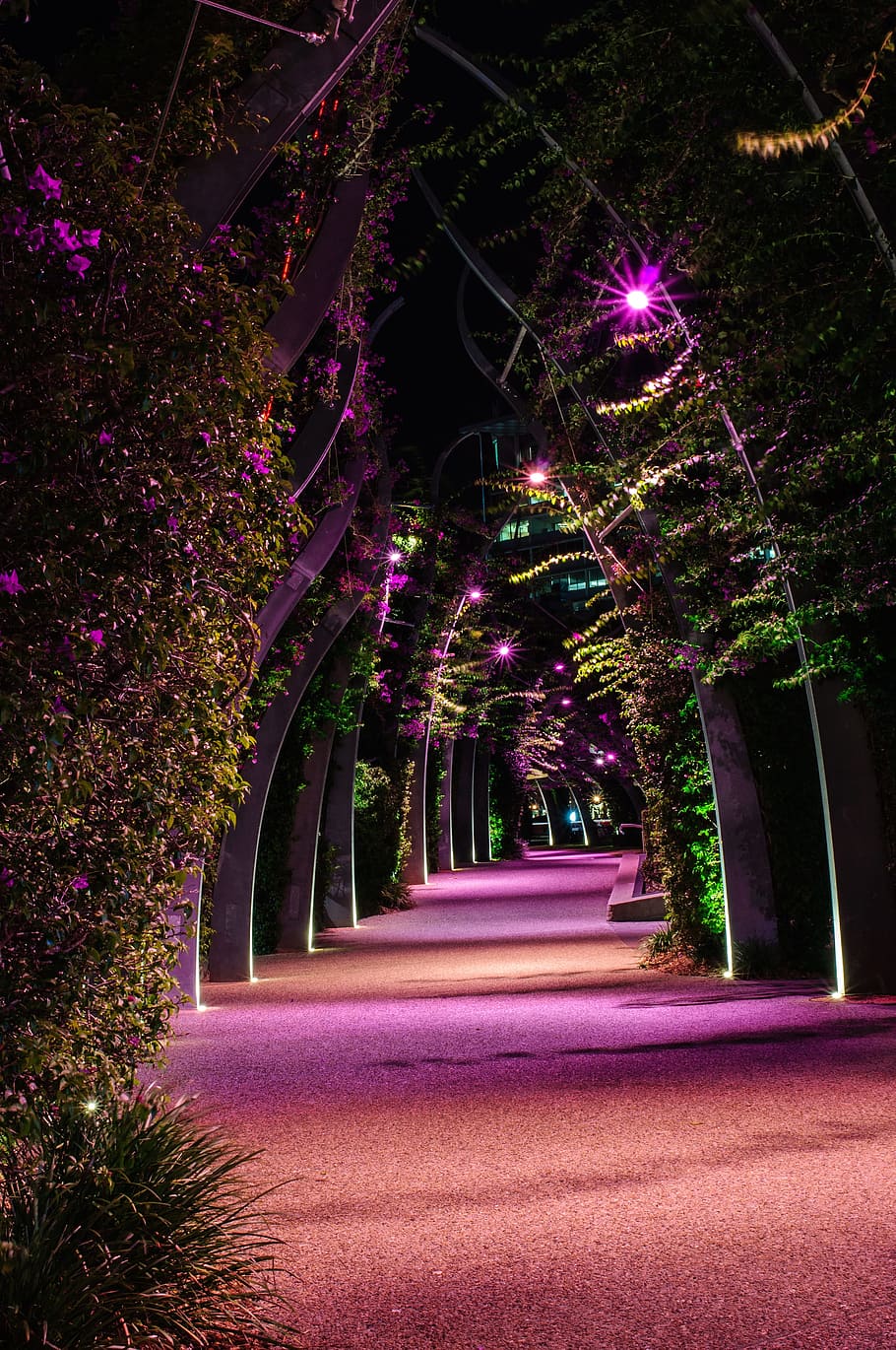 pasillo del jardín, noche, Southbank, zonas verdes, Brisbane, Queensland, Australia, ciudad, luces, agua
