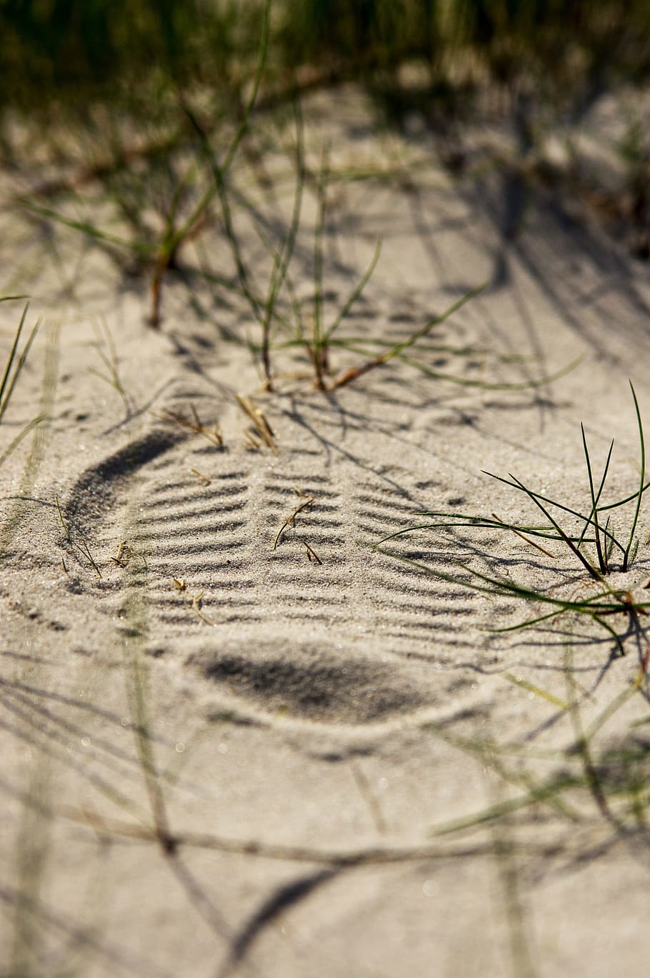 shoe print, sand, grass, reprint, footprint, sand road, shoe sole imprint, close, structure, sole imprint