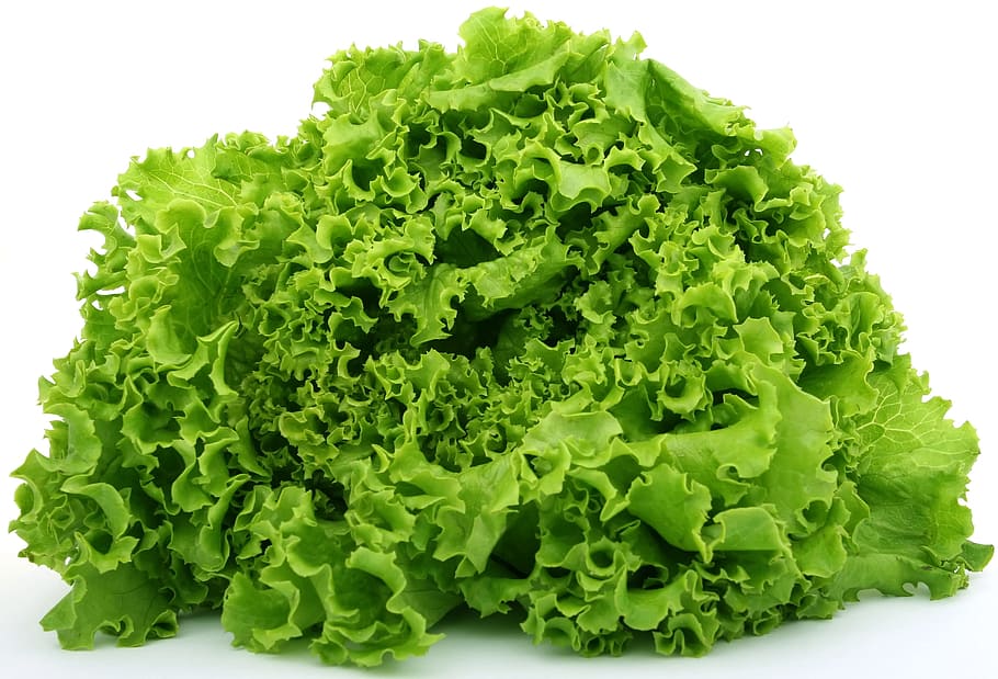 selada hijau, selada, kalori, katering, warna-warni, masakan, memasak, kuliner, lezat, diet