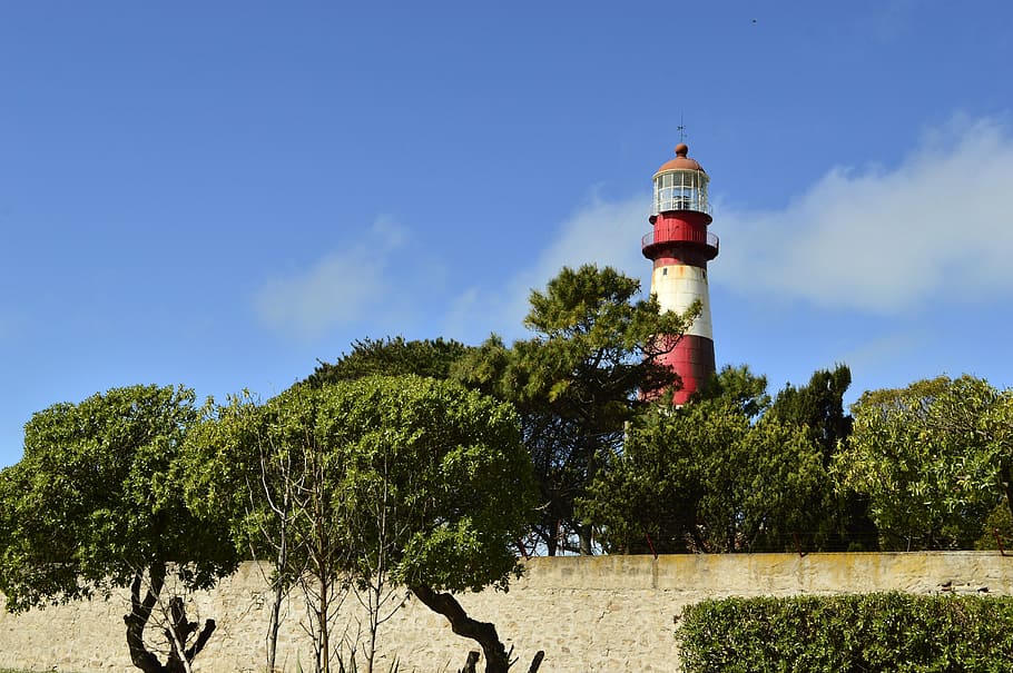 lighthouse, beach, landscape, architecture, mar del plata, tree, built structure, guidance, building exterior, plant