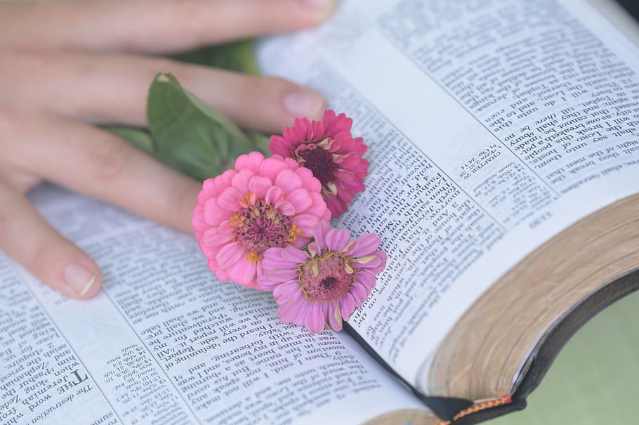 bible, flowers, hand, woman, christian, flower, flowering plant, publication, book, plant