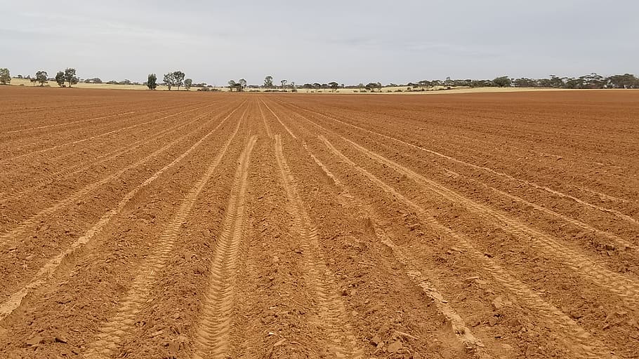 agriculture, soil, field, farm, nature, potatoes, south australia, red, red soil, land