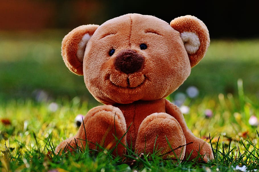 brown, bear, plush, toy, green, grass, teddy, soft toy, stuffed animal, teddy bear
