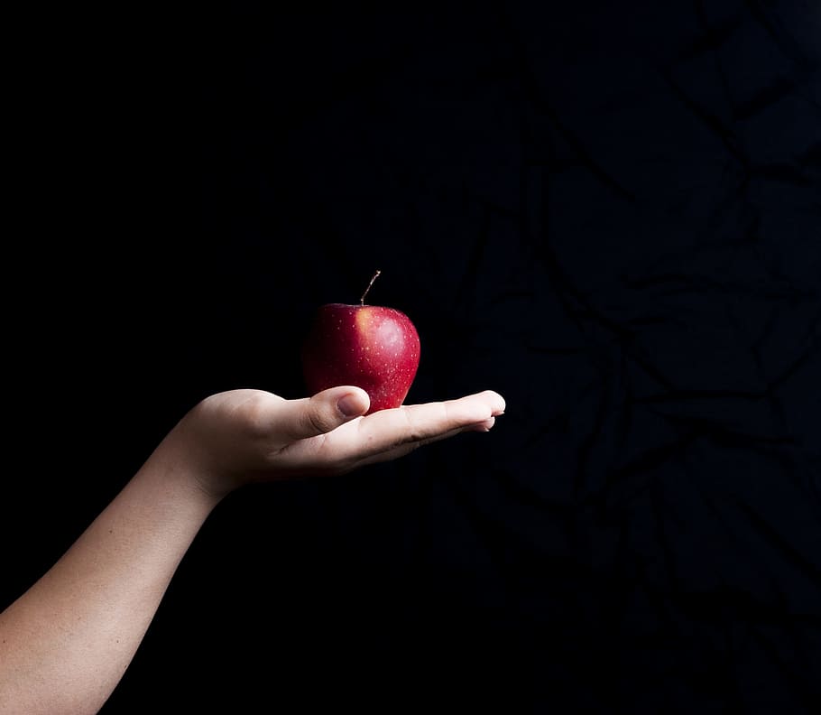 vermelho, fruta maçã, pessoa, palma, maçã vermelha, fruta, maçã, mão, fundo preto, o plano de fundo