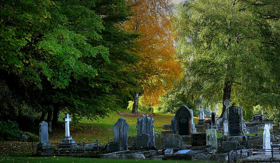 peaceful, rest, Queenstown, Cemetery, tombstones near green tress, tree, plant, grave, tombstone, architecture