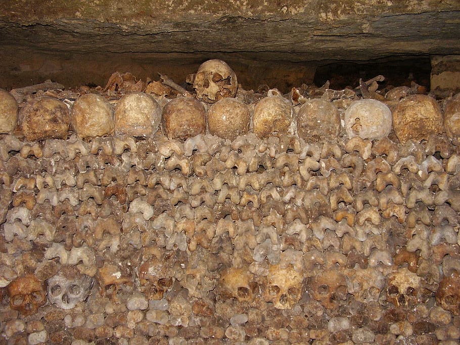 catacombs, skulls, bone, bones, crane, skeleton, death, brown, backgrounds, food