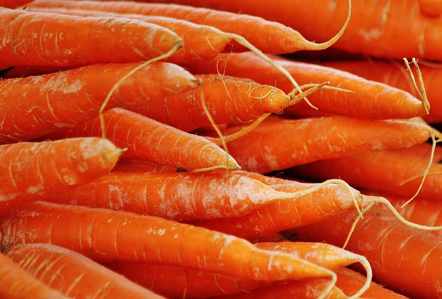 closeup, photography, pile, carrots, vegetables, food, orange, plant, healthy, delicious