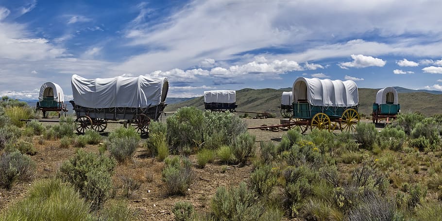oregon trail, covered wagon, prairie, panorama, landscape, photographic background, compositing, shadow catcher, wallpaper, gigantography