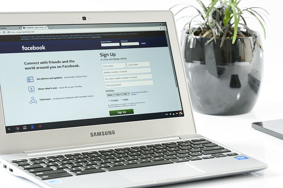 silver samsung laptop, green, potted, plant, facebook login, office, laptop, business, computer, modern