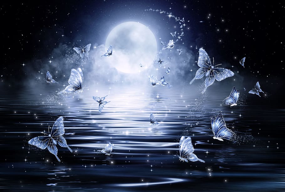 butterflies, body, water, night time illustration, butterfly, stars, night, fantasy, fairy tale, sea