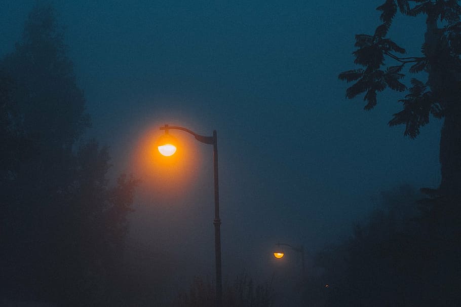 luzes da rua, virou, lâmpada, postes, luzes, noite, escuro, postes de iluminação, tarde, nevoeiro
