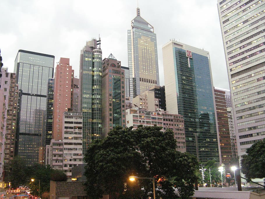 зеленое лиственное дерево, Гонконг, Небоскребы, Здания, город, линия горизонта, городской пейзаж, городской, бизнес, в центре города